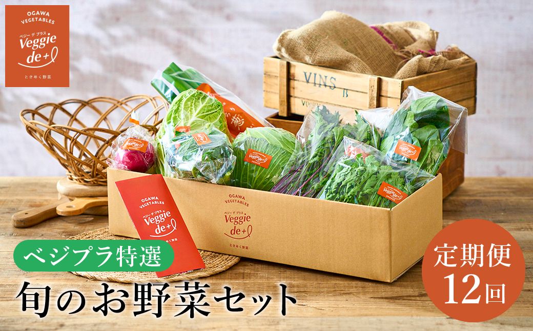 旬の新鮮なお野菜を産地直送!ベジプラ特選 旬の野菜セット[定期便:12回 毎月お届け] / 野菜 詰め合わせ セット 野菜セット 新鮮 ギフト やさい 苦みが少ない 甘みが強い Veggie de+[野菜例:キャベツ 水菜 ミニトマト レタス とろり葱 ほうれん草等]