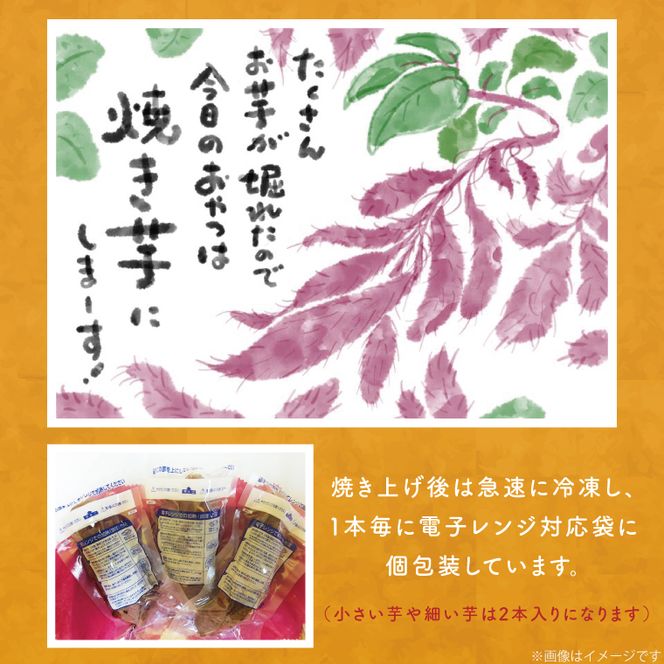 【6ヶ月定期便】★少し大きめサイズ★熟成紅はるか冷凍焼き芋約1kg＋おまかせ品種さつまいも 合計約1.2kg!（EY-16）
