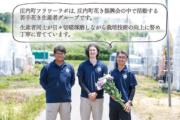 【R8.9月下旬から11月初旬】トルコキキョウ 10本から15本 切り花 生産者おまかせ 2~3色ミックス 白 紫 緑 トルコギキョウ 秋限定 仏花 結婚祝い 旬の花 季節の花 八重咲き フリンジ咲き 花 生花 花束 冷蔵便 国産 庄内町フラワーラボ