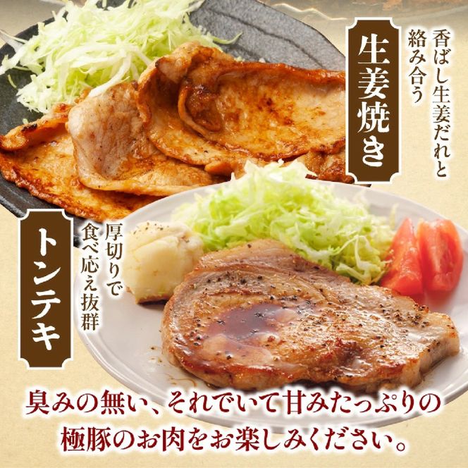 ひなた宮崎極豚ロース塊 500g×1P（豚肉 豚 ロース ブロック とんかつ トンテキ 生姜焼き）
