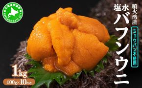 北海道 噴火湾産 塩水 バフンウニ 100g 10パック 計1kg うに ウニ 雲丹 海鮮 海の幸 魚介類 ウニ丼 お寿司 濃厚 無添加 産地直送 お取り寄せ 山村水産 送料無料 【55250875】