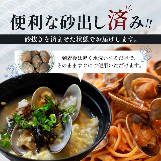 あさり【4月～6月発送】北海道 厚岸町産 天然 殻あさり(大)  500g×1　【厚岸漁業協同組合】[ アサリ 貝 味噌汁 酒蒸し 混ぜご飯 ] 