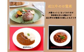 近江牛カレー（200g×1個）・近江牛ハンバーグ（150g×1個）・近江牛デミグラスすじ煮込み（150g×1個）【AB100W】