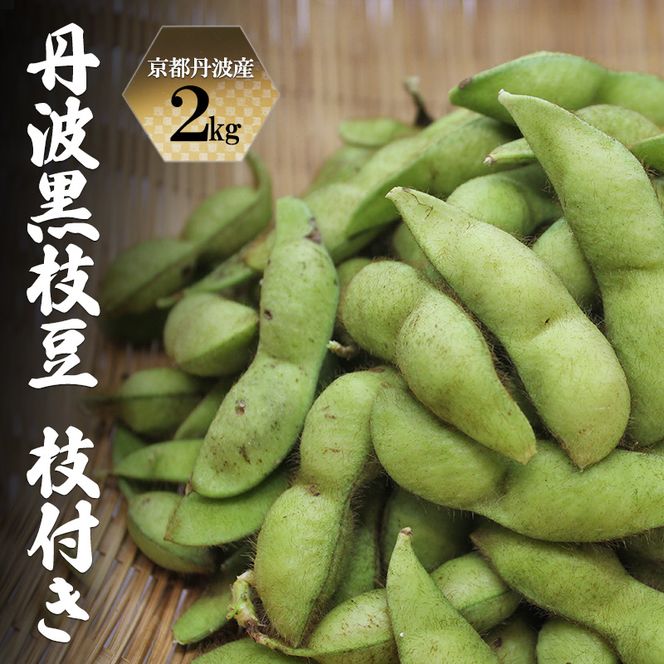 枝豆 令和8年10月発送分 先行予約 京都丹波産 丹波黒枝豆 枝付き 2kg 黒枝豆