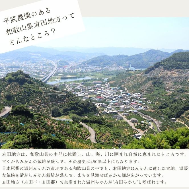 農家直送！有田みかん（5kg 訳あり≪サイズ混合≫） 平武農園　～蛍飛ぶ町から旬の便り～ 	BX26