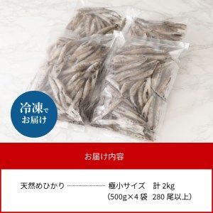 【訳あり】めひかり 計 2kg 天然 数量限定 【極小サイズ 500g×4袋 280尾以上】 N124-YZA0397