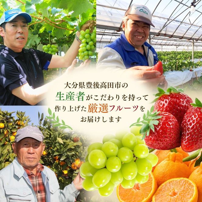 【数量限定】旬の特選フルーツ定期便 (シャインマスカット・イチゴ・みかん) 全3回