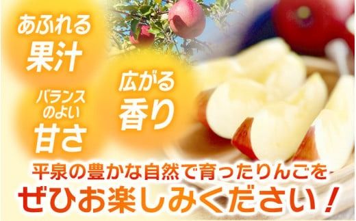 【令和7年度分予約受付】大文字りんご園 サン北斗 サン北斗 約5kg (18～20玉) 【2025年10月下旬頃より順次発送】/ 樹上完熟 りんご リンゴ 林檎 果物 くだもの フルーツ 甘い 旬 産地直送 予約 先行予約【dma513-sh-5A】