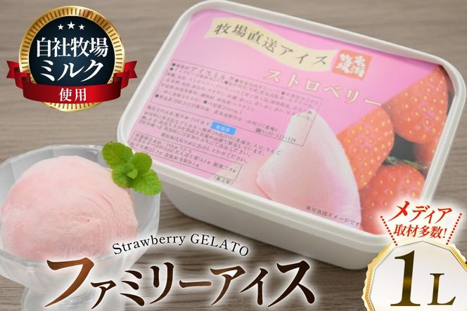 テレビで紹介！ アイス ジェラート ストロベリー 1L ファミリーサイズ [岩瀬牧場 北海道 砂川市 12260968] 冷凍 アイスクリーム 詰め合わせ スイーツ