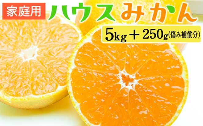 家庭用 ハウスみかん5kg+250g（傷み補償分）