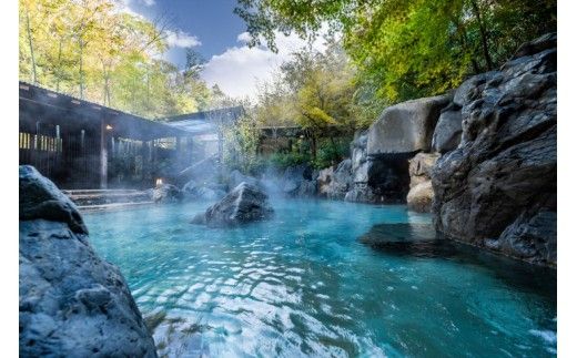 ネスタリゾート神戸　利用券×10セット