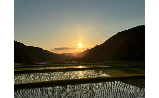 純米大吟醸　若戎　－磨き35－ 242161_CW007