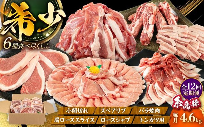 【全12回定期便】合計4.6kg！糸島豚食べ尽くしセット(とんかつ、肩ロース、しゃぶしゃぶ、豚バラ、スペアリブ、小間切れ) 糸島市 / トラヤミートセンター 豚肉 セット[AJD024]