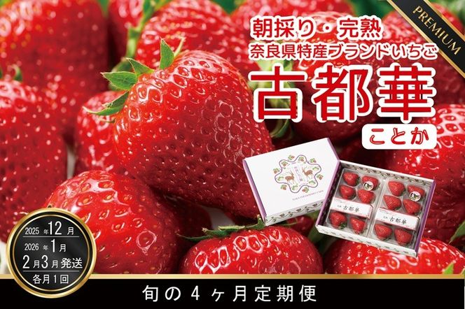 定期便 先行予約 【12・1・2・3月発送4ヶ月定期便】奈良県特産 高級ブランドいちご「古都華」旬の４ヶ月定期便 // いちご イチゴ 古都華 フルーツ 果物 旬 限定  ブランド 定期便 贈答用 ギフト 化粧箱