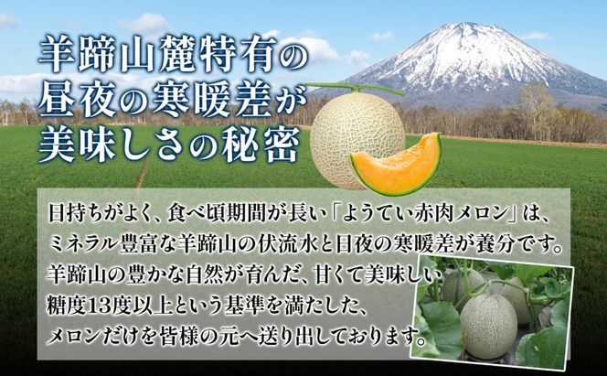 北海道 赤肉メロン 大玉 約2kg 1玉 メロン 赤肉 果物 フルーツ 甘い 完熟 スイーツ デザート 産直 国産 贈答品 お祝いギフト羊蹄山 JAようてい
