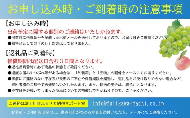 【2027年発送分 先行予約】【訳あり】シャインマスカット  1.6kg以上 (2～5房) 【8月下旬以降発送予定】 訳アリ 訳あり品 シャイン マスカット ぶどう ブドウ 葡萄 徳用 家庭用 ご家庭用 旬 新鮮 くだもの 果物 フルーツ 山梨 やまなし 富士川町