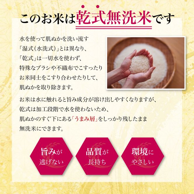 【11ヵ月定期便】令和7年度産 ブレンド米 白米 5kg×11ヵ月 精米 米 コメ お米 生活応援米 おこめ ご飯 ごはん 秋田県産 秋田 にかほ