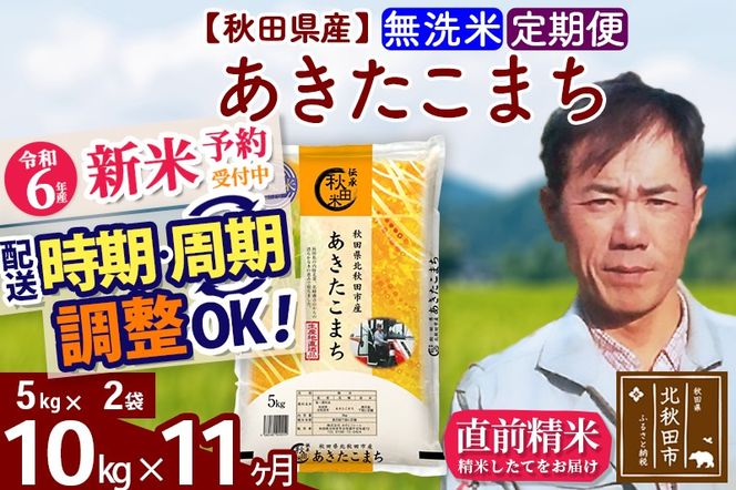 ※令和6年産 新米予約※《定期便11ヶ月》秋田県産 あきたこまち 10kg【無洗米】(5kg小分け袋) 2024年産 お届け時期選べる お届け周期調整可能 隔月に調整OK お米 みそらファーム|msrf-32111