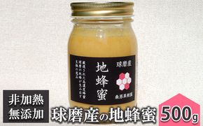 はちみつ 無添加 非加熱 希少 球磨産  地蜂蜜 500g×1本 加工食品 