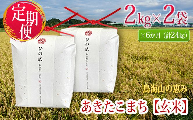 米 お米 《定期便》4kg×6ヶ月 秋田県産 あきたこまち 玄米 2kg×2袋 神宿る里の米「ひの米」（お米 小分け）