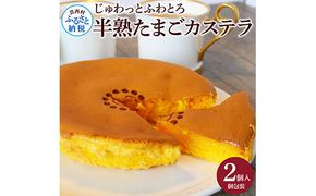 【CF-R7hbk】TKA016　じゅわっと半熟たまごカステラ もっちりとろける食感と、コクのあるたまごの風味がクセになる半熟卵カステラ 2個入り 個包装 高知 返礼品 スイーツ 人気 お土産 お取り寄せ 冷凍 高級 お菓子 ギフト かわいい おしゃれ 玉子カステラ 贈答品 贈り物