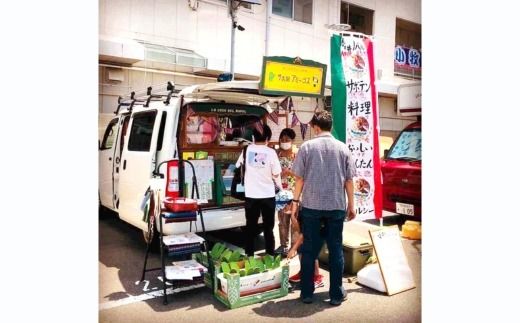 体にうれしい健康食材「食用サボテン」のサボイカ春巻き 10本入り（1本60g×10本）