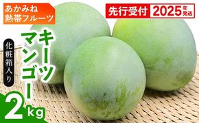 【化粧箱入】【先行受付・2025年発送】あかみね熱帯フルーツのキーツマンゴー約2kg