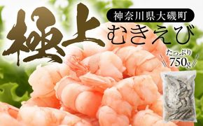 159-2020-29　極上むきえび　約750g　背ワタ処理済み 殻とり済み バラ凍結 無保水【 魚介類 海鮮 惣菜 おかず 冷凍配送 送料無料 神奈川県 大磯町】