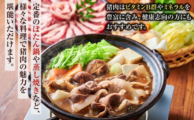 【食べ応え抜群！】猪肉 スライス 1kg 【猪肉 ジビエ しゃぶしゃぶ用 すき焼用 炒め物 焼肉用 ジンギスカン ぼたん鍋 蒸し焼き コク 人気 おすすめ 神奈川県 小田原市】 142069_HV008