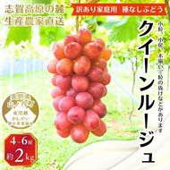 ぶどう 訳あり 家庭用 クイーンルージュ 約2kg (4～6房) フルーツ 秋 2026年 10月発送