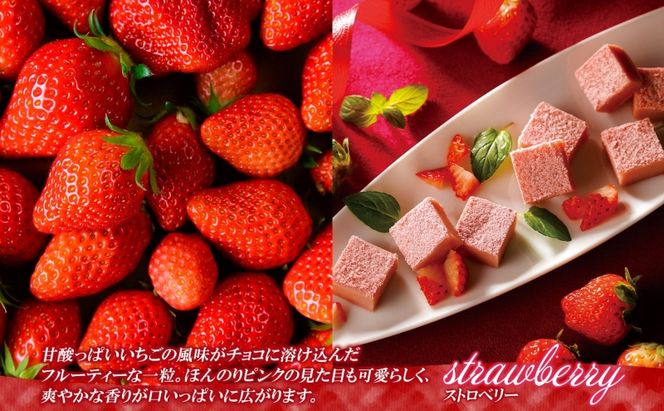 クレストジャパン 生チョコ3種食べ比べセット 生チョコ 3種類 アソート 食べ比べ プレーン ホワイト いちご 北海道産生クリーム チョコ 生チョコ スイーツ デザート チョコレート カカオ 冷凍 お取り寄せグルメ 送料無料 北海道 滝川市