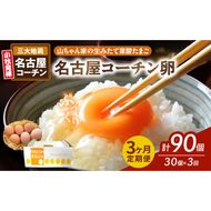 【3ヶ月定期便】【山ちゃん家の生みたて葉酸たまご】名古屋コーチン卵（30個入り）［132Y01-T］