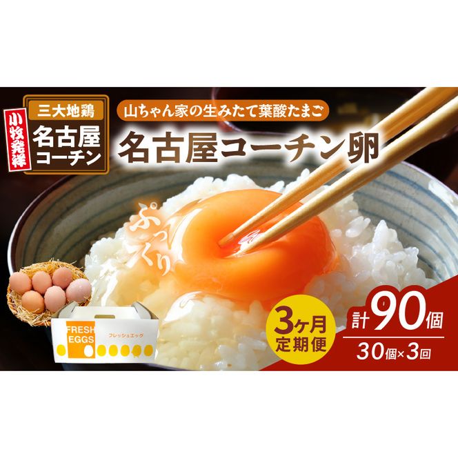 ymqszy3ցzyRƂ݂̐ėt_܂zÉR[`i30jm132Y01-Tn