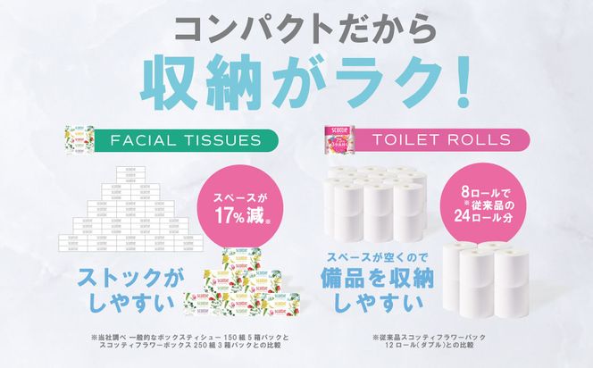 【定期便3回】【毎月お届け】【スコッティ】 組み合わせ ティシュー フラワーボックス 250組 10箱 計30箱 トイレットロール ダブル フラワーパック 3倍長持ち 24ロール 計72ロール ティッシュ トイレットペーパー 日用品 防災備蓄 ストック 備蓄 新生活 防災 消耗品 生活用品 日用消耗品 箱ティッシュ