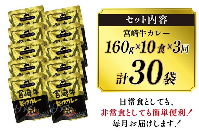 カレー 3回 定期便 レトルト 宮崎牛カレー 160g 10袋 総計30袋 [九州産商 宮崎県 日向市 452061838] 小分け ビーフカレー 宮崎 牛 常備食 保存食 中辛 宮崎牛 備蓄