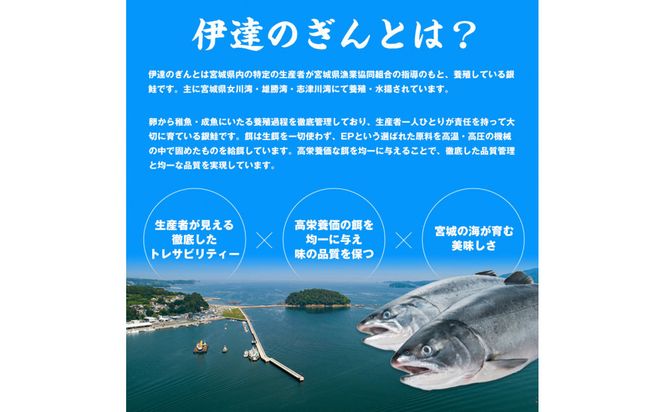 伊達の銀鮭モンゴル岩塩漬け 30切入（2切×15パック） 【 銀鮭 鮭 切り身 岩塩 魚介 朝食 お弁当 おかず 個装 冷凍 】 041009_HE007