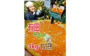 ［先行予約］有田みかん  秀品 3kg（箱込み）+痛み保障増量　木成り完熟［贈答用］大ちゃんの畑農園 CA09