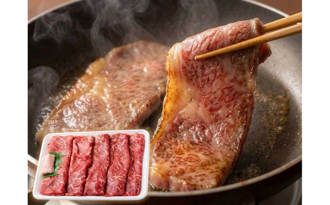 厳選黒毛和牛赤身スライス定期便3カ月500g 372013_LG001