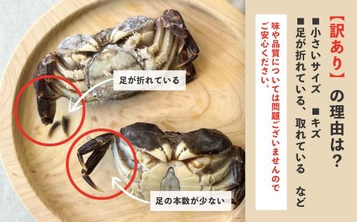 【 訳あり 数量限定 】 天然 ツガニ 約 1kg （8～12匹） 訳アリ 訳あり品 濃厚 うまみ 魚介 蟹 かに カニ つがに モクズガニ もくずがに 人気 リピーター お取り寄せ だし 味噌汁 炊き込みごはん 四万十川 グルメ 高知県 高知 四万十市 四万十 しまんと 24-030W