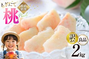 【2026年発送】訳あり 桃 山梨 良品 朝どれ 大玉 約 2.0kg 4～6玉 家庭用 朝獲れ もぎたて もも モモ フルーツ 果物 山梨県産 産地直送 期間限定 季節限定 冷蔵 農家直送 白鳳 夢みずき 浅間白桃 なつっこ 紅くにか 川中島白桃 [韮崎市桃農家の産直 山梨県 韮崎市 20745234]