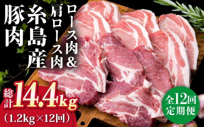 【全12回定期便】糸島産豚ロース肉6枚 肩ロースカツ5枚 合計11枚セット《糸島》【糸島ミートデリ工房】 [ACA231]