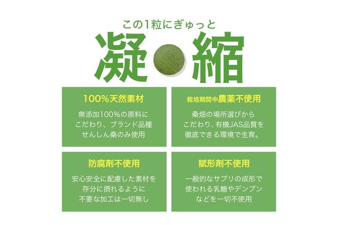 a934 さつま桑粒10袋セット【わくわく園】桑の葉 サプリ サプリメント くわ 天然100％ 有機 桑の葉 有機JAS