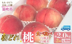 【2026年発送先行予約】笛吹市産　山梨朝どれ桃2kg×2回配送（白鳳系・白桃系） 定期便 2回（クール便） 205-023-26y