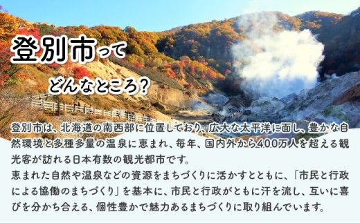【ふるさと納税】【寄付額が選べる】日本財団災害復興支援特別基金への寄附【災害支援】（返礼品なし）【MRI-AiD】