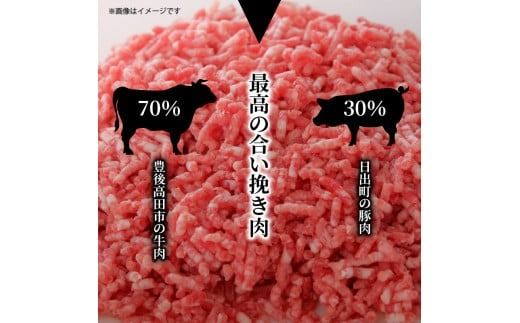 おおいたの魅力集結！大分の恵みハンバーグ 1.6kg（160g×10個）_2146R