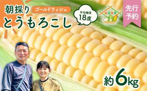 【先行予約 2026年6月中旬以降発送 】【 令和8年産 】 朝採り とうもろこし （ ゴールドラッシュ ） 約 6kg トウモロコシ スイートコーン コーン 野菜 産地直送 期間限定 極甘 岩田さん 昼めし旅 [AX019ya]