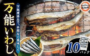 万能いわし 8匹 (約160g～180g) × 10袋 下処理済み