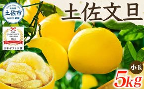【日本ギフト大賞2024受賞】【先行予約】 園主こだわりの土佐文旦 5kg 小玉（L～Mサイズ） 2027年1月下旬より順次発送 家庭用 贈答用 ぶんたん ブンタン【やの一果彩】 [BQAC017]