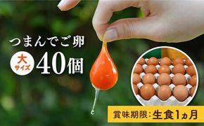 【プリップリな卵黄！】つまんでご卵 40個セット 卵 たまご 糸島 / 緑の農園 [AGA011] たまご 卵 鶏卵 玉子 平飼い たまごかけご飯 卵かけご飯 卵焼き 生卵 濃厚