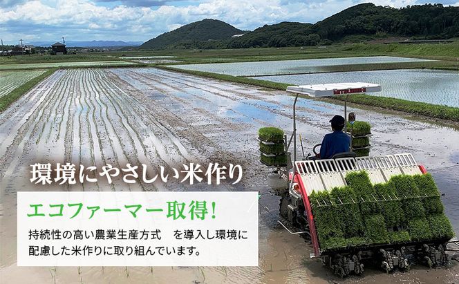 お米 令和7年産 きぬむすめ 白米 6kg(3kg×2袋) 米 単一原料米 精米 ごはん ご飯 白飯 小分け